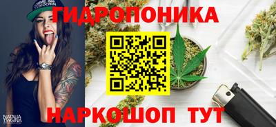 ешки Краснодар