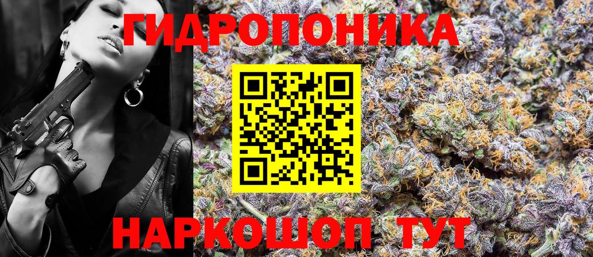 Бошки Шишки THC 21%  Вход с VPN  Костомукша  Конопля тримм 